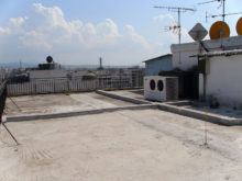 DSCI0294