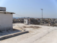 DSCI0307