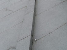 DSCI0315
